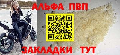 эйфоретик Кингисепп