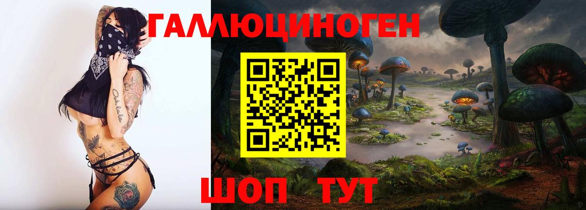Псилоцибиновые грибы Magic Shrooms Заводоуковск
