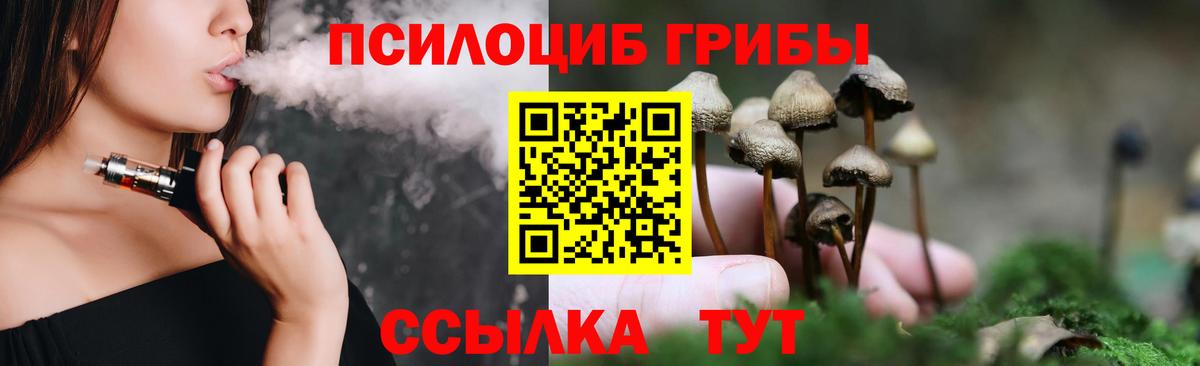 Галлюциногенные грибы Cubensis  Вход с VPN  Заводоуковск  Галлюциногенные грибы мицелий 